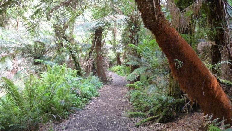 Walk to Mariner Falls
